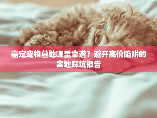 嘉定宠物墓地哪里靠谱？避开高价陷阱的实地踩坑报告