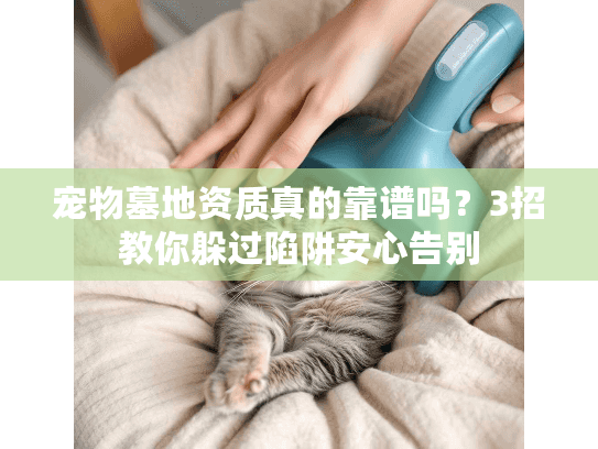 宠物墓地资质真的靠谱吗？3招教你躲过陷阱安心告别