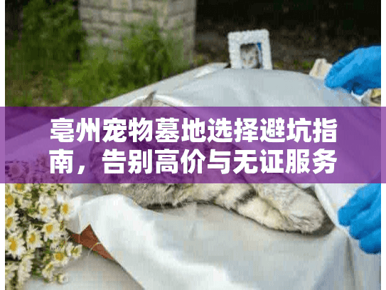 亳州宠物墓地选择避坑指南，告别高价与无证服务陷阱