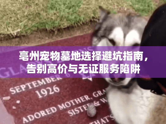 亳州宠物墓地选择避坑指南，告别高价与无证服务陷阱