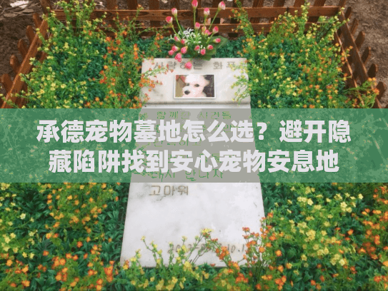 承德宠物墓地怎么选?避开隐藏陷阱找到安心宠物安息地 承德宠物墓地怎么选?避开隐藏陷阱找到安心宠物安息地