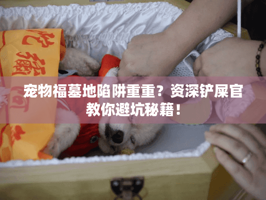 宠物福墓地陷阱重重？资深铲屎官教你避坑秘籍！