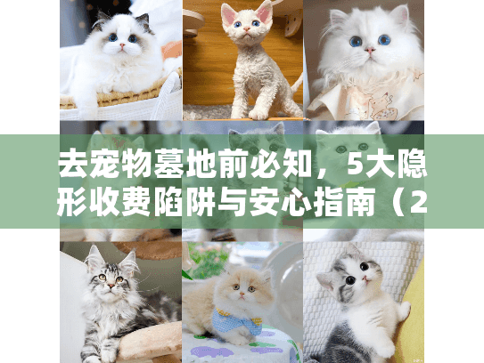 去宠物墓地前必知，5大隐形收费陷阱与安心指南（2025实测）