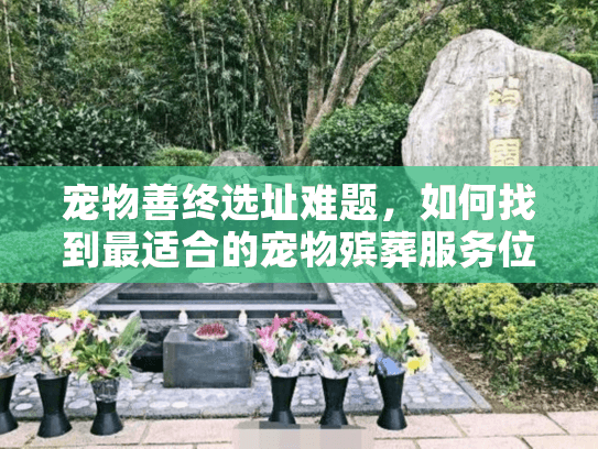 宠物善终选址难题，如何找到最适合的宠物殡葬服务位置？