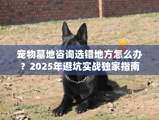 宠物墓地咨询选错地方怎么办？2025年避坑实战独家指南