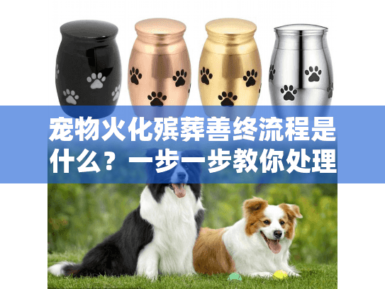 宠物火化殡葬善终流程是什么？一步一步教你处理宠物后事