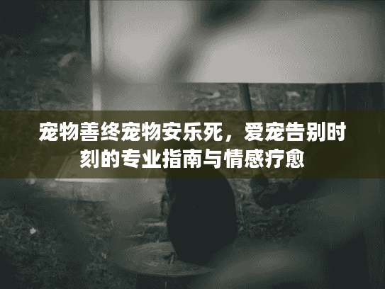 宠物善终宠物安乐死，爱宠告别时刻的专业指南与情感疗愈