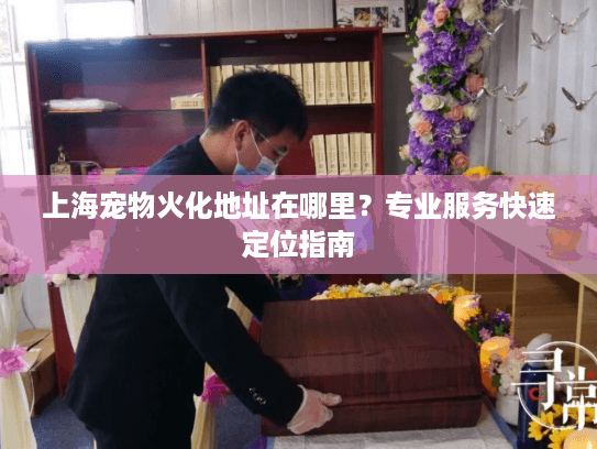 上海宠物火化地址在哪里？专业服务快速定位指南