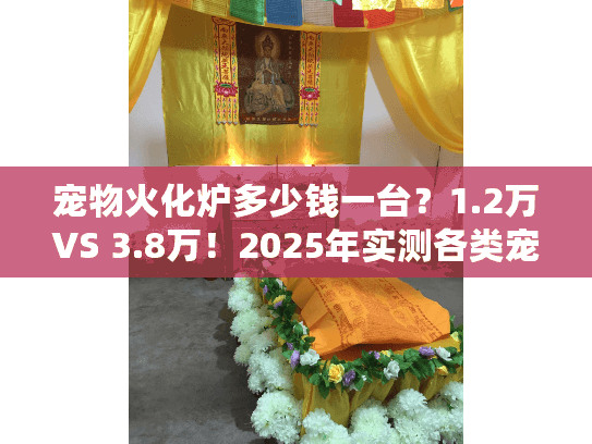 宠物火化炉多少钱一台？1.2万VS 3.8万！2025年实测各类宠物殡葬收费标准与骨灰处理真相