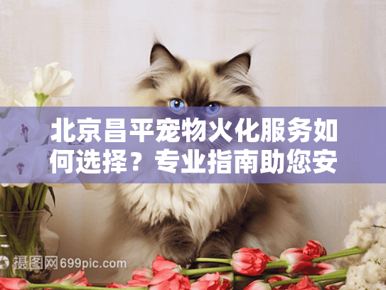 北京昌平宠物火化服务如何选择？专业指南助您安心告别