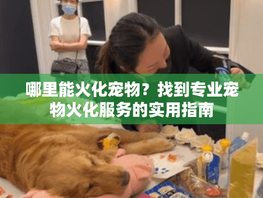 哪里能火化宠物？找到专业宠物火化服务的实用指南