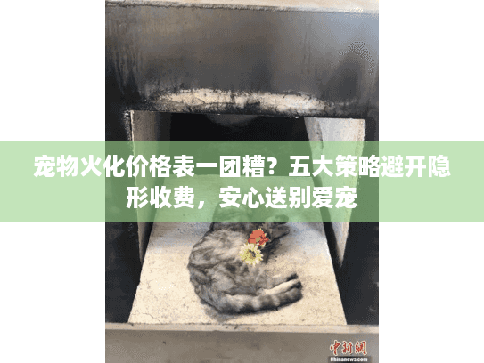 宠物火化价格表一团糟？五大策略避开隐形收费，安心送别爱宠