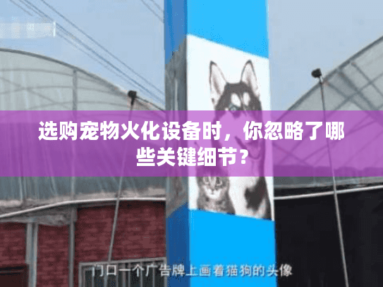 选购宠物火化设备时，你忽略了哪些关键细节？