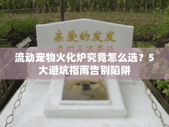 流动宠物火化炉究竟怎么选？5大避坑指南告别陷阱