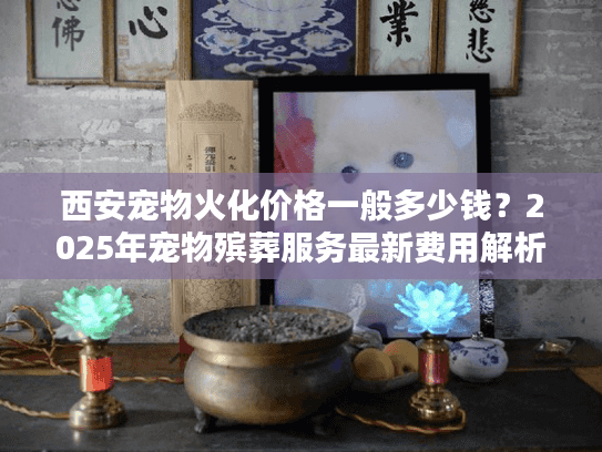 西安宠物火化价格一般多少钱？2025年宠物殡葬服务最新费用解析