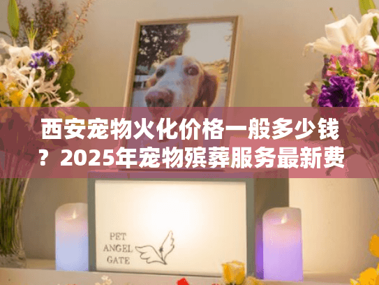 西安宠物火化价格一般多少钱？2025年宠物殡葬服务最新费用解析