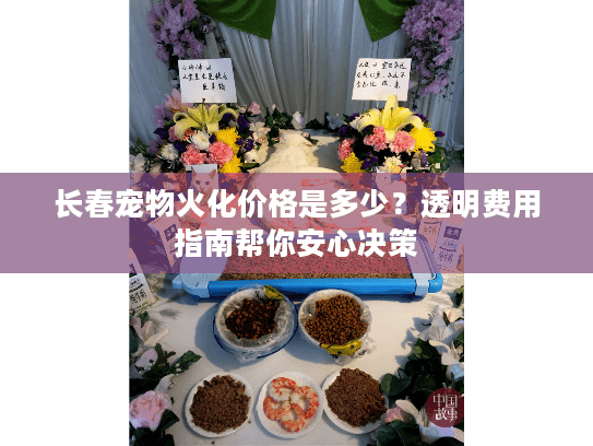 长春宠物火化价格是多少？透明费用指南帮你安心决策