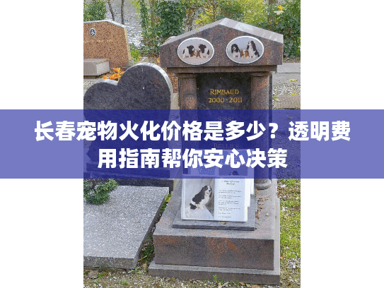 长春宠物火化价格是多少？透明费用指南帮你安心决策