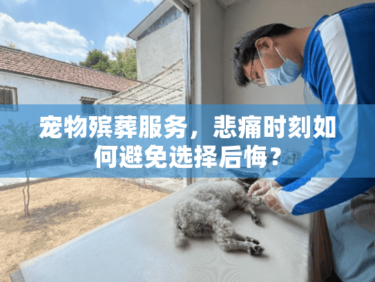 宠物殡葬服务，悲痛时刻如何避免选择后悔？