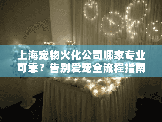 上海宠物火化公司哪家专业可靠？告别爱宠全流程指南