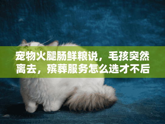 宠物火腿肠鲜粮说，毛孩突然离去，殡葬服务怎么选才不后悔？