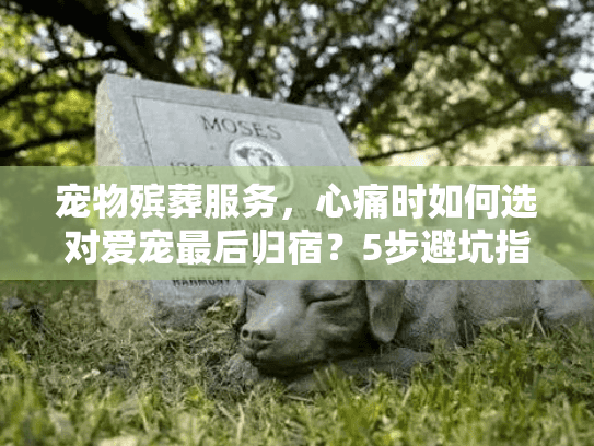 宠物殡葬服务，心痛时如何选对爱宠最后归宿？5步避坑指南