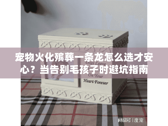 宠物火化殡葬一条龙怎么选才安心？当告别毛孩子时避坑指南