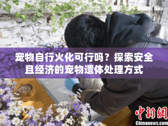 宠物自行火化可行吗？探索安全且经济的宠物遗体处理方式