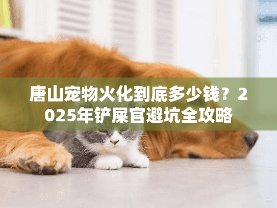 唐山宠物火化到底多少钱？2025年铲屎官避坑全攻略