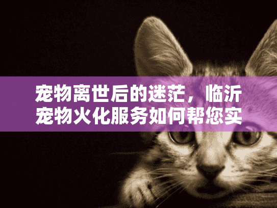宠物离世后的迷茫，临沂宠物火化服务如何帮您实现体面告别？