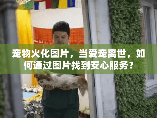 宠物火化图片，当爱宠离世，如何通过图片找到安心服务？