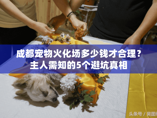 成都宠物火化场多少钱才合理？主人需知的5个避坑真相