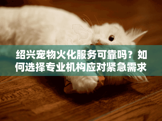 绍兴宠物火化服务可靠吗？如何选择专业机构应对紧急需求？