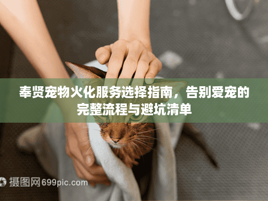 奉贤宠物火化服务选择指南，告别爱宠的完整流程与避坑清单