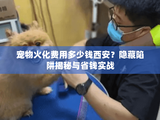 宠物火化费用多少钱西安？隐藏陷阱揭秘与省钱实战