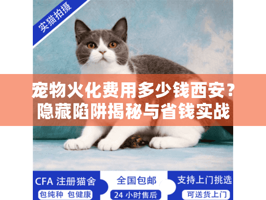 宠物火化费用多少钱西安？隐藏陷阱揭秘与省钱实战