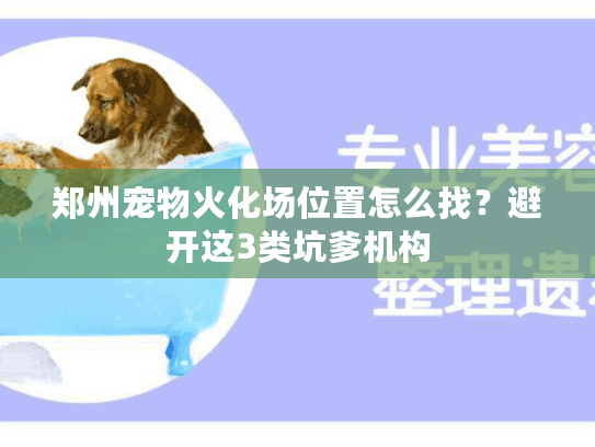 郑州宠物火化场位置怎么找？避开这3类坑爹机构