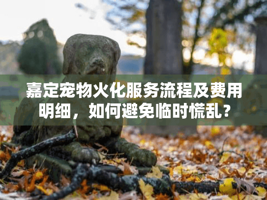 嘉定宠物火化服务流程及费用明细，如何避免临时慌乱？