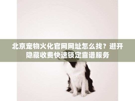 北京宠物火化官网网址怎么找?避开隐藏收费快速锁定靠谱服务 北京宠物火化官网网址怎么找?避开隐藏收费快速锁定靠谱服务