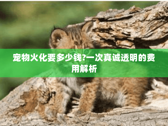 宠物火化要多少钱?一次真诚透明的费用解析