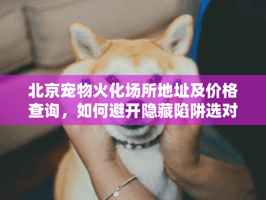 北京宠物火化场所地址及价格查询，如何避开隐藏陷阱选对服务？
