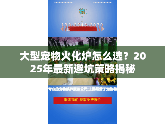 大型宠物火化炉怎么选？2025年最新避坑策略揭秘
