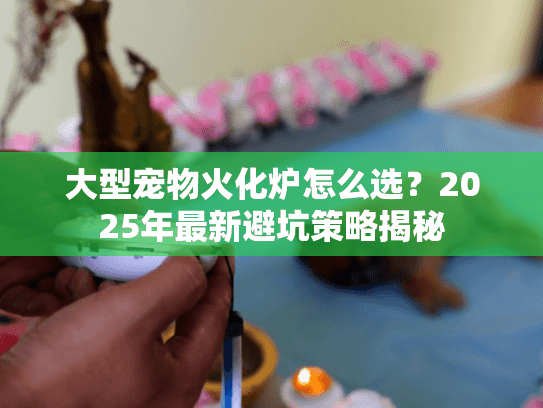 大型宠物火化炉怎么选？2025年最新避坑策略揭秘