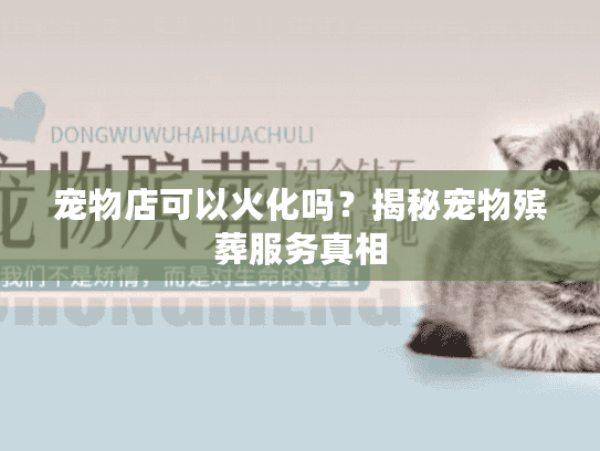 宠物店可以火化吗？揭秘宠物殡葬服务真相