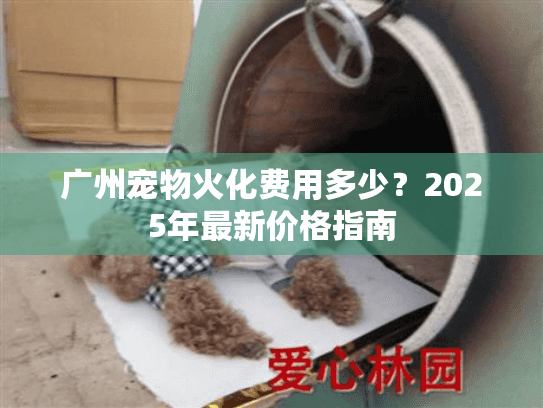 广州宠物火化费用多少？2025年最新价格指南
