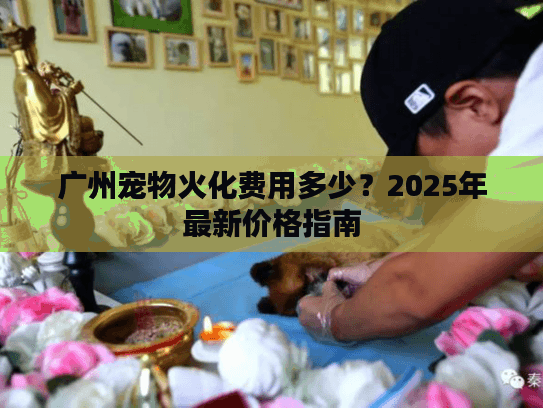 广州宠物火化费用多少？2025年最新价格指南