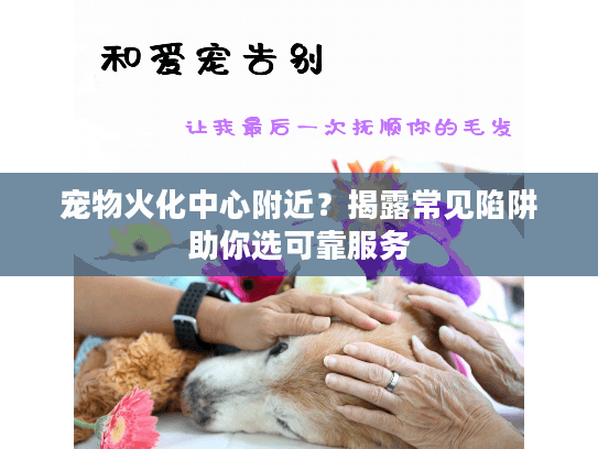 宠物火化中心附近？揭露常见陷阱助你选可靠服务