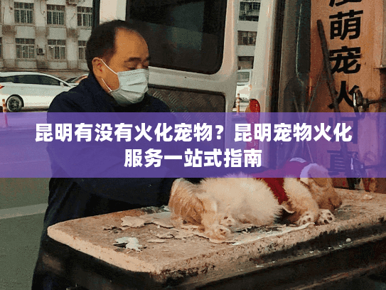 昆明有没有火化宠物？昆明宠物火化服务一站式指南