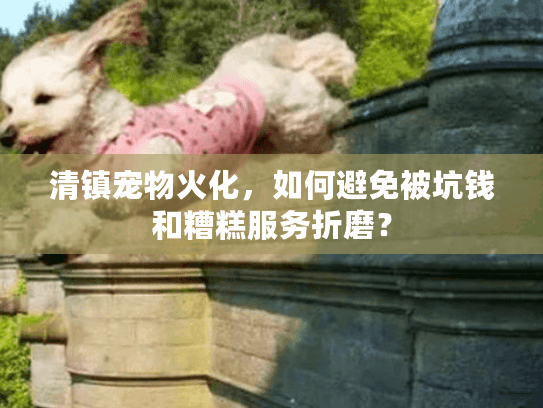 清镇宠物火化，如何避免被坑钱和糟糕服务折磨？