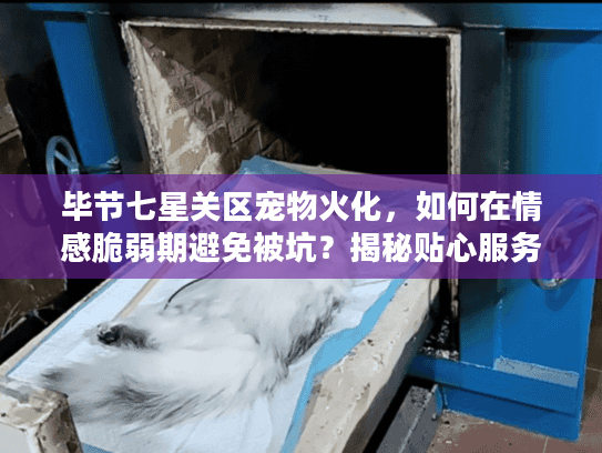 毕节七星关区宠物火化,如何在情感脆弱期避免被坑?揭秘贴心服务秘诀 毕节七星关区宠物火化,如何在情感脆弱期避免被坑?揭秘贴心服务秘诀